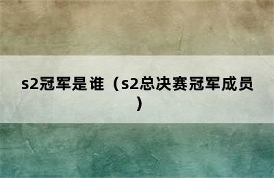 s2冠军是谁（s2总决赛冠军成员）