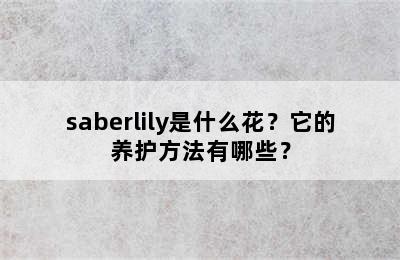 saberlily是什么花？它的养护方法有哪些？