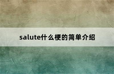 salute什么梗的简单介绍