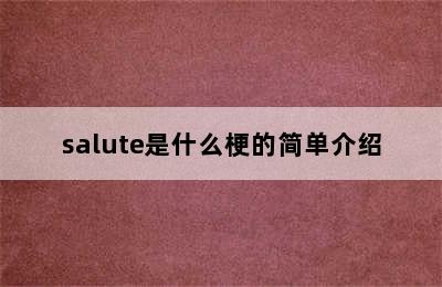 salute是什么梗的简单介绍