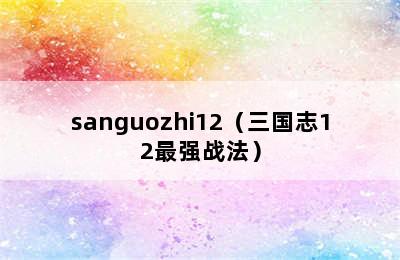 sanguozhi12（三国志12最强战法）