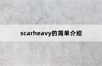 scarheavy的简单介绍