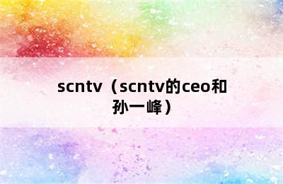 scntv（scntv的ceo和孙一峰）