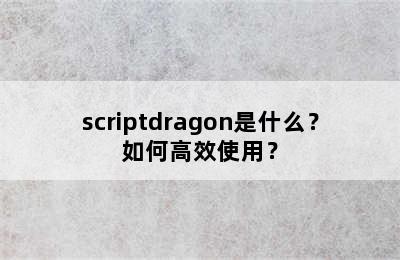 scriptdragon是什么？如何高效使用？