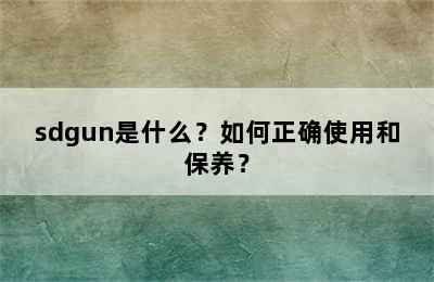 sdgun是什么？如何正确使用和保养？