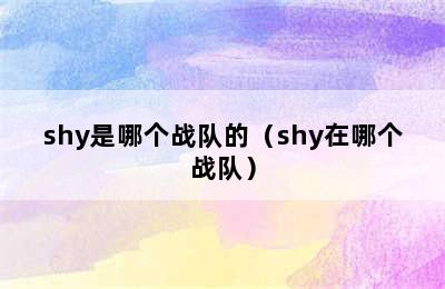 shy是哪个战队的（shy在哪个战队）