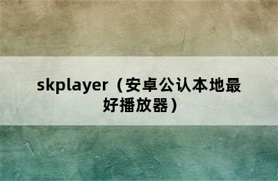 skplayer（安卓公认本地最好播放器）