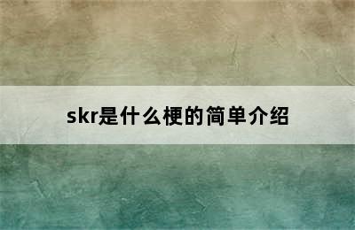 skr是什么梗的简单介绍