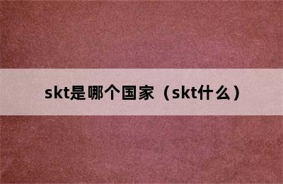 skt是哪个国家（skt什么）