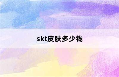 skt皮肤多少钱