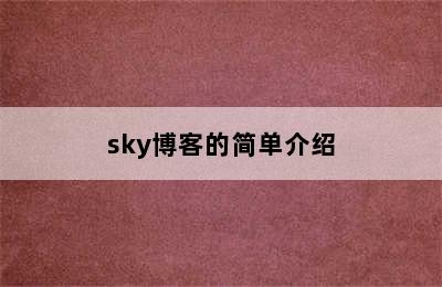 sky博客的简单介绍