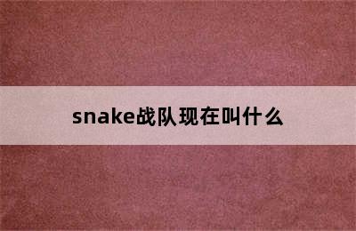 snake战队现在叫什么