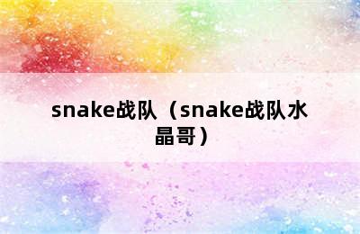 snake战队（snake战队水晶哥）