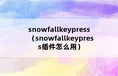 snowfallkeypress（snowfallkeypress插件怎么用）