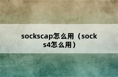 sockscap怎么用（socks4怎么用）