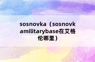 sosnovka（sosnovkamilitarybase在艾格伦哪里）