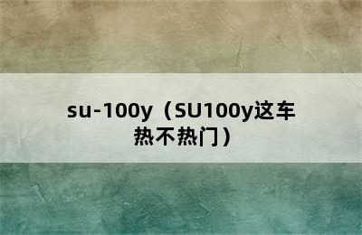 su-100y（SU100y这车热不热门）