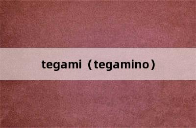 tegami（tegamino）