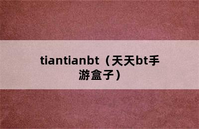 tiantianbt（天天bt手游盒子）