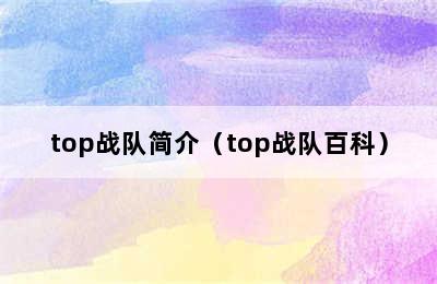 top战队简介（top战队百科）