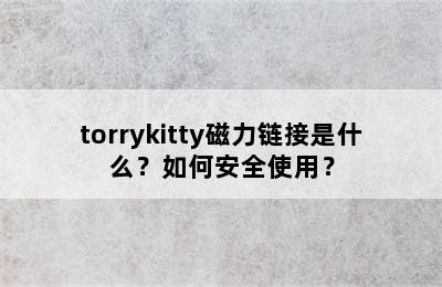 torrykitty磁力链接是什么？如何安全使用？