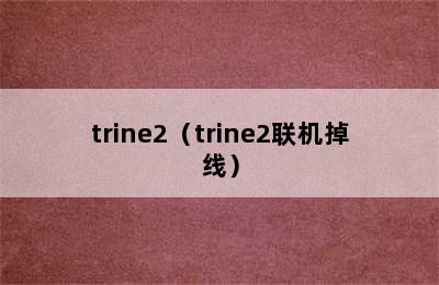 trine2（trine2联机掉线）