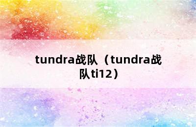 tundra战队（tundra战队ti12）