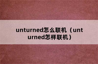 unturned怎么联机（unturned怎样联机）