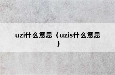 uzi什么意思（uzis什么意思）