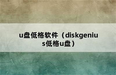 u盘低格软件（diskgenius低格u盘）