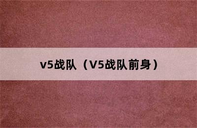 v5战队（V5战队前身）