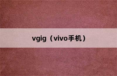 vgig（vivo手机）