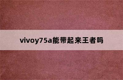 vivoy75a能带起来王者吗