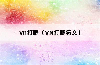 vn打野（VN打野符文）