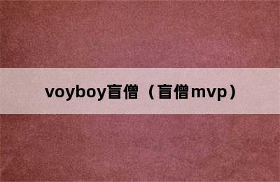 voyboy盲僧（盲僧mvp）