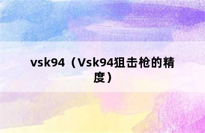 vsk94（Vsk94狙击枪的精度）