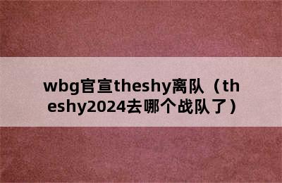 wbg官宣theshy离队（theshy2024去哪个战队了）