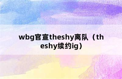 wbg官宣theshy离队（theshy续约ig）