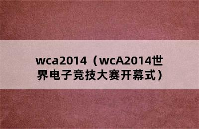 wca2014（wcA2014世界电子竞技大赛开幕式）