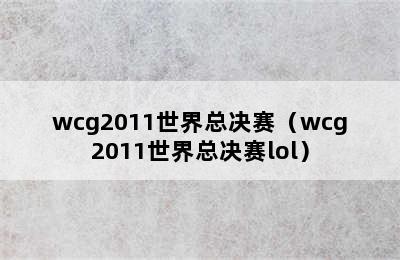 wcg2011世界总决赛（wcg2011世界总决赛lol）