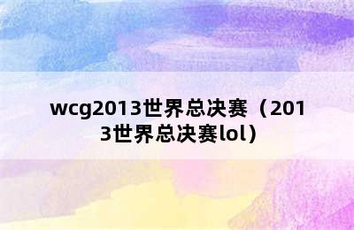 wcg2013世界总决赛（2013世界总决赛lol）