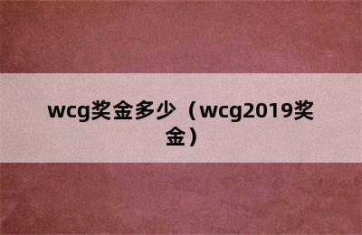 wcg奖金多少（wcg2019奖金）