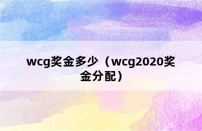 wcg奖金多少（wcg2020奖金分配）