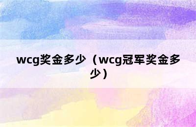 wcg奖金多少（wcg冠军奖金多少）