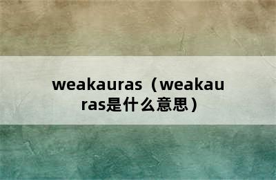 weakauras（weakauras是什么意思）