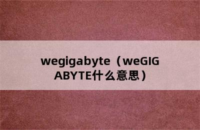 wegigabyte（weGIGABYTE什么意思）