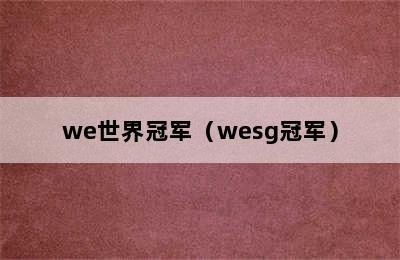 we世界冠军（wesg冠军）