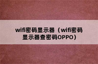 wifi密码显示器（wifi密码显示器查密码OPPO）