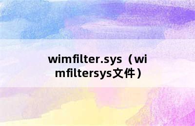 wimfilter.sys（wimfiltersys文件）