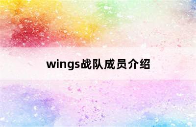 wings战队成员介绍